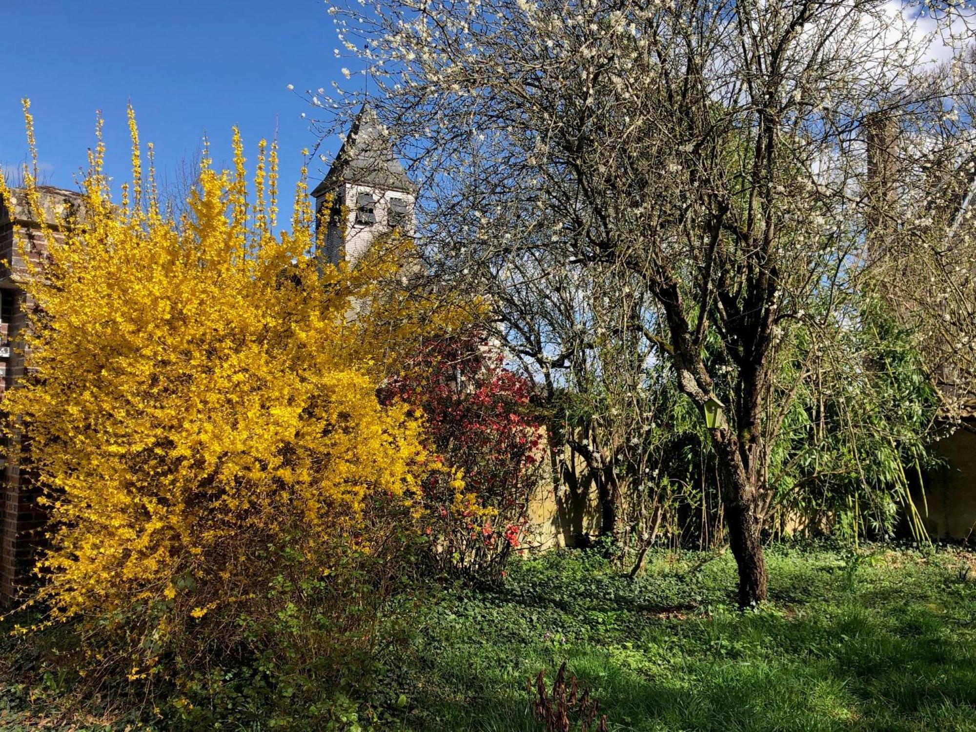 La Demeure D'Othe Bed and Breakfast Sormery Εξωτερικό φωτογραφία